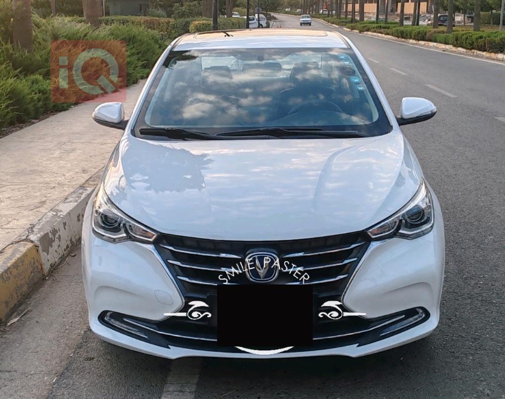 چانگان ئەلسڤین